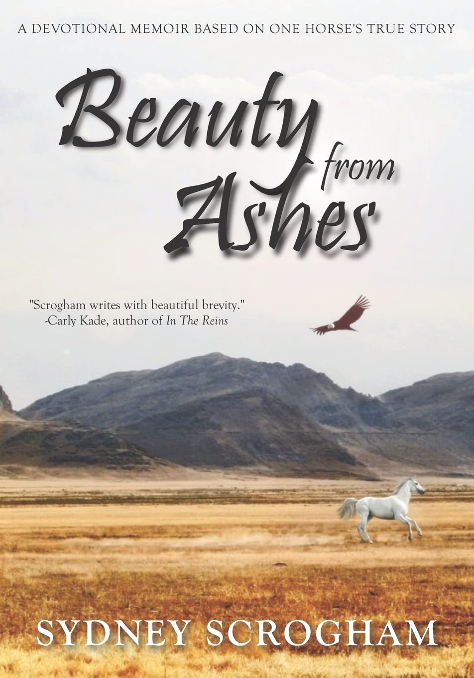 Beauty From Ashes: A Devotional Memoir Based on One Horse's True Story used book depot