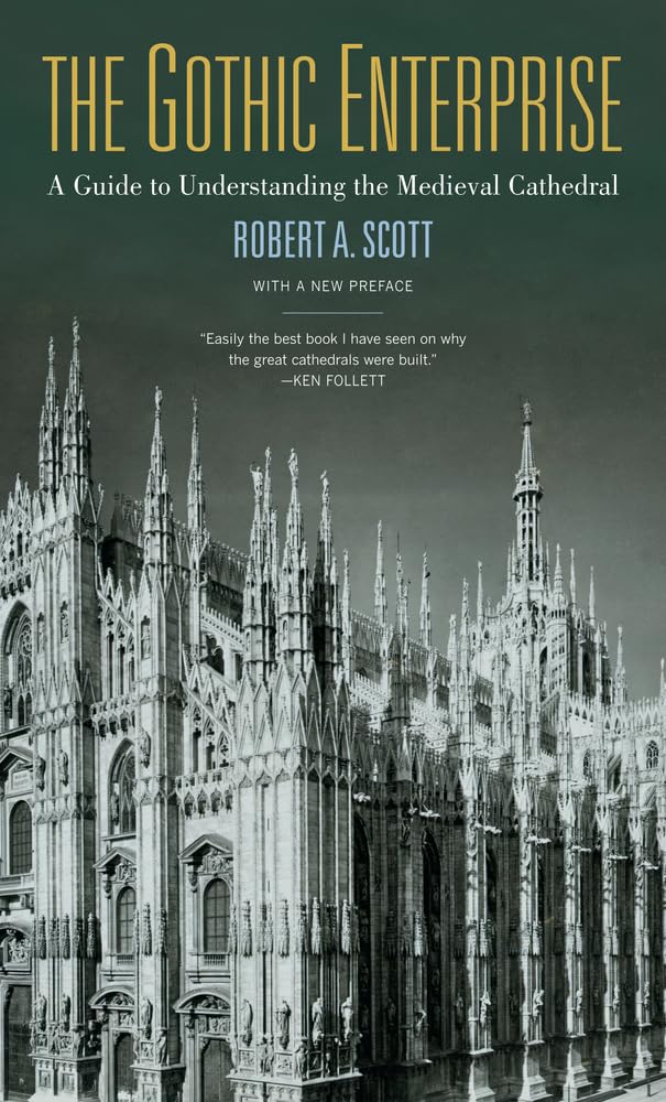 The Gothic Enterprise: A Guide to Understanding the Medieval Cathedral used book depot