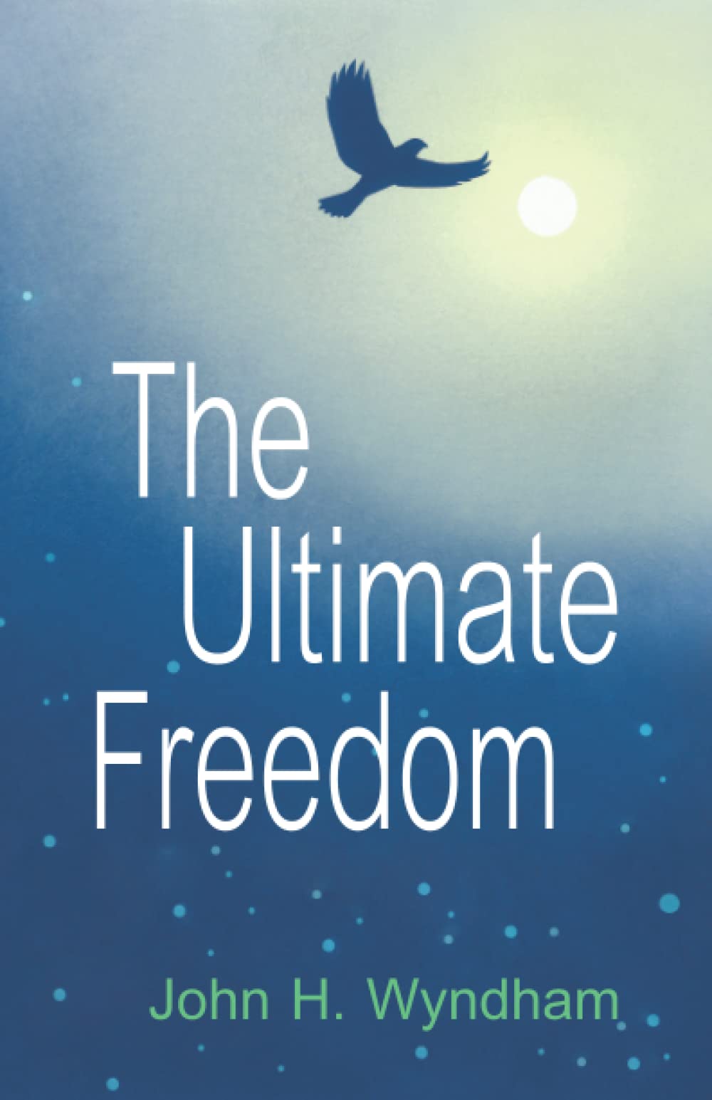 The Ultimate Freedom used book depot
