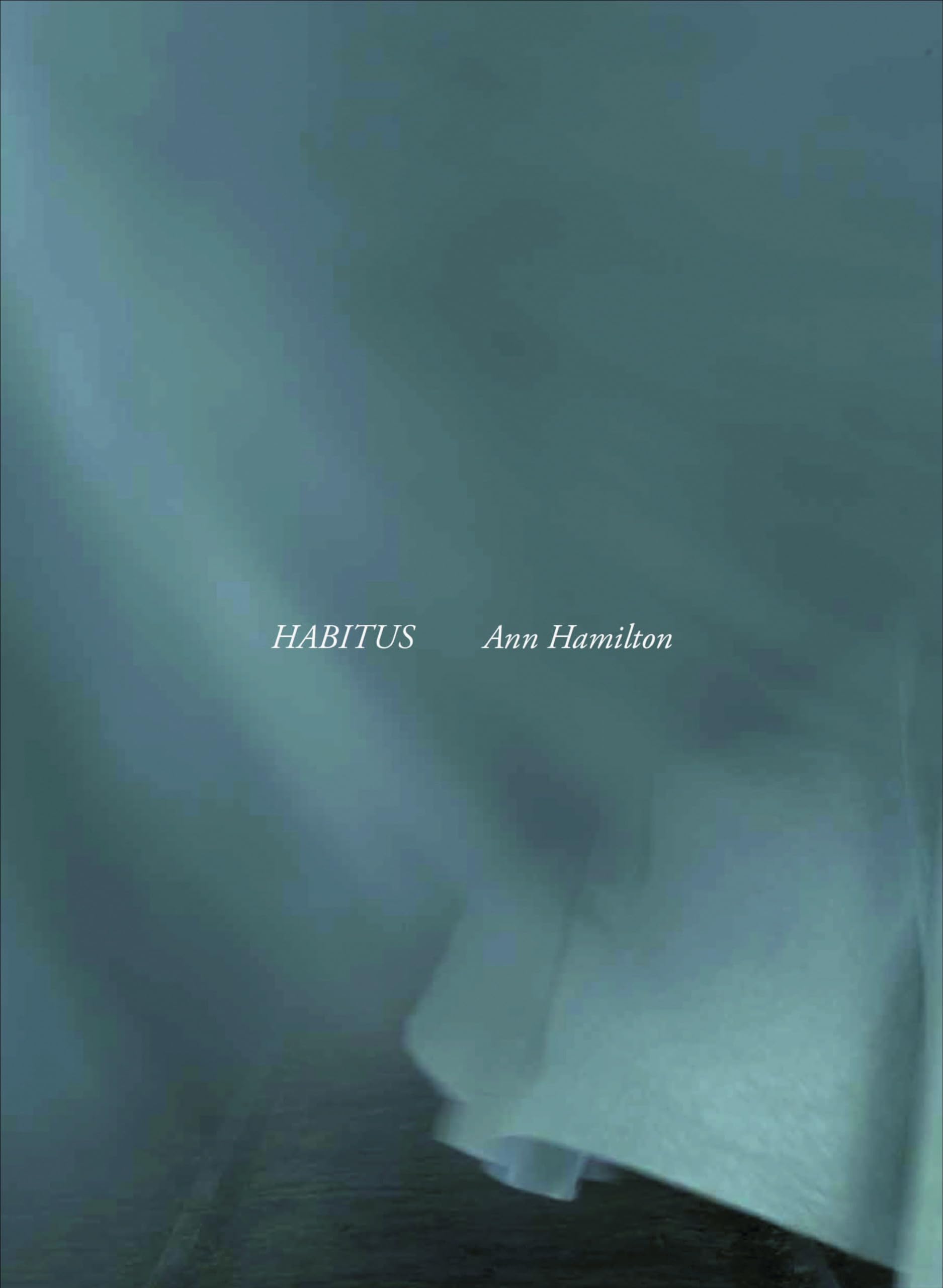Ann Hamilton: habitus used book depot