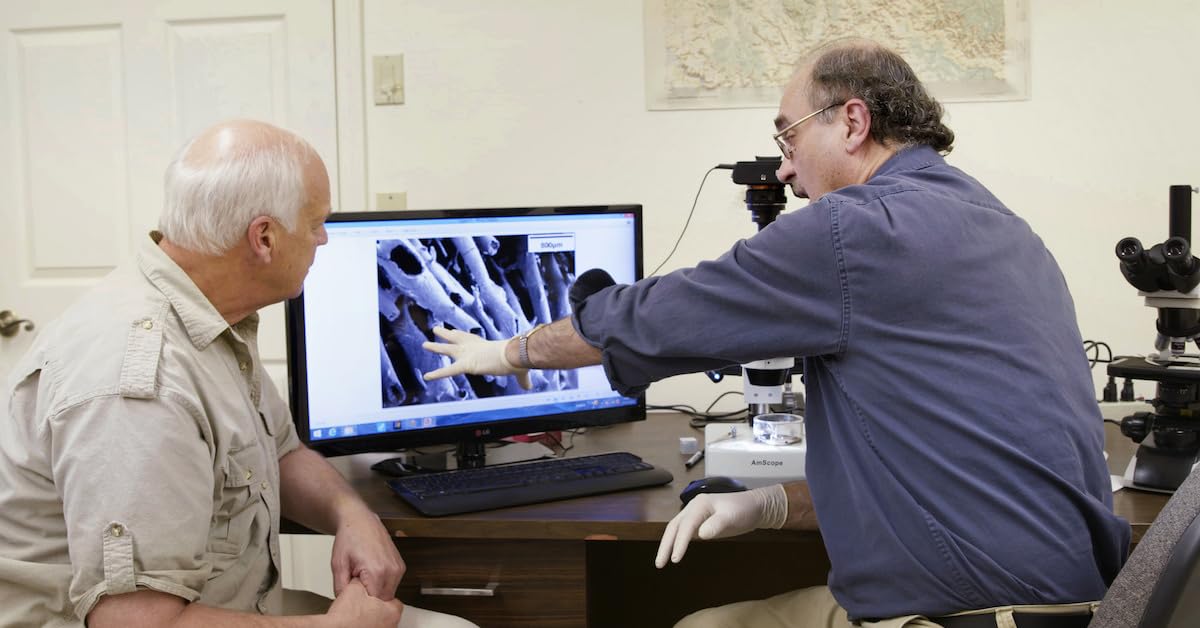 Is Genesis History? used book depot