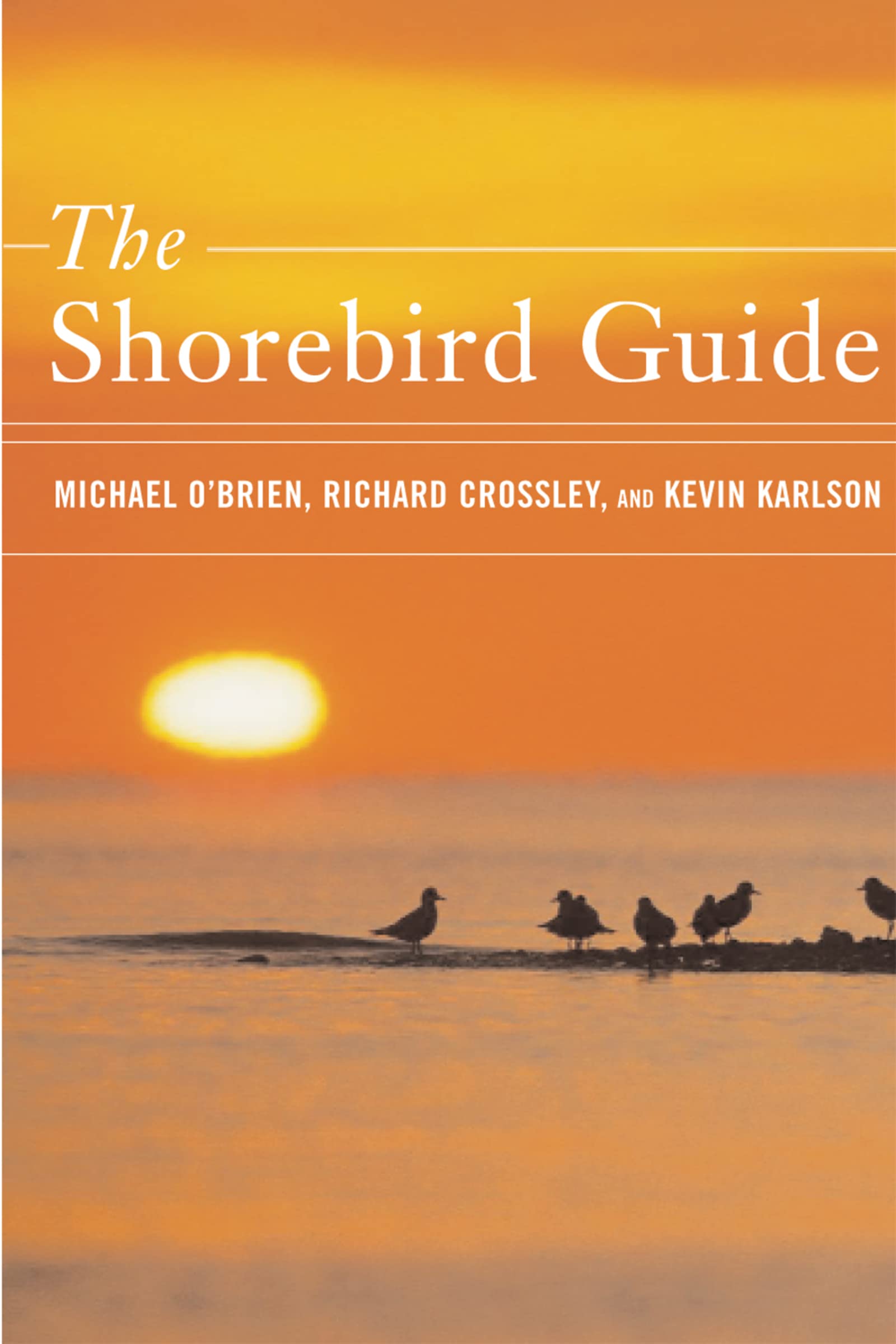 The Shorebird Guide used book depot