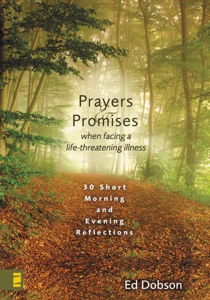 Prayers and Promises When Facing a Life-Threatening Illness: 30 Short Morning and Evening Reflections used book depot