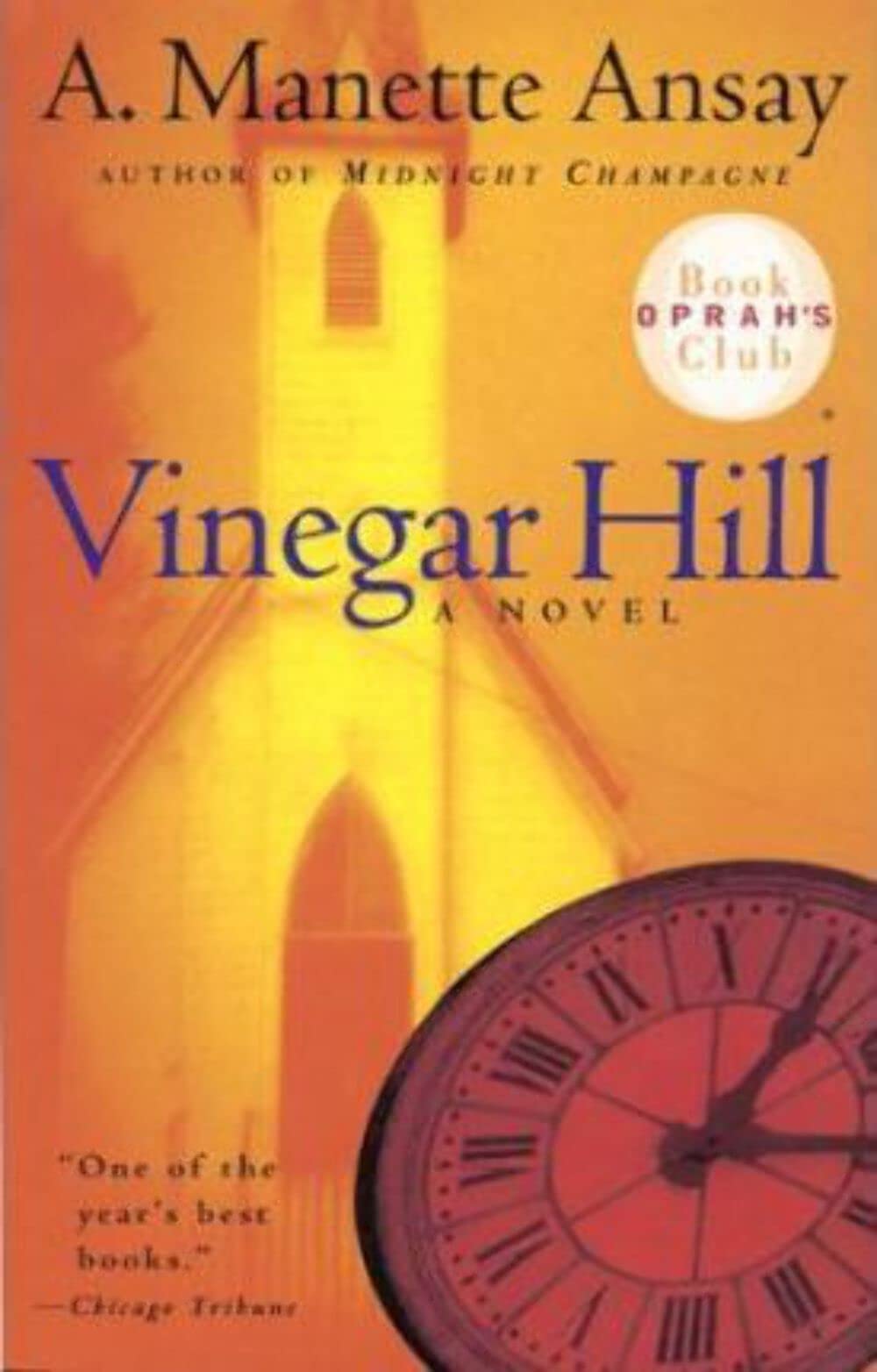 Vinegar Hill (Oprah's Book Club) used book depot