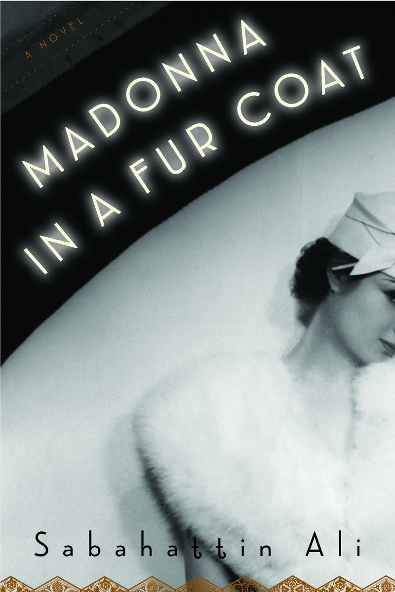 Madonna in a Fur Coat: A Novel used book depot