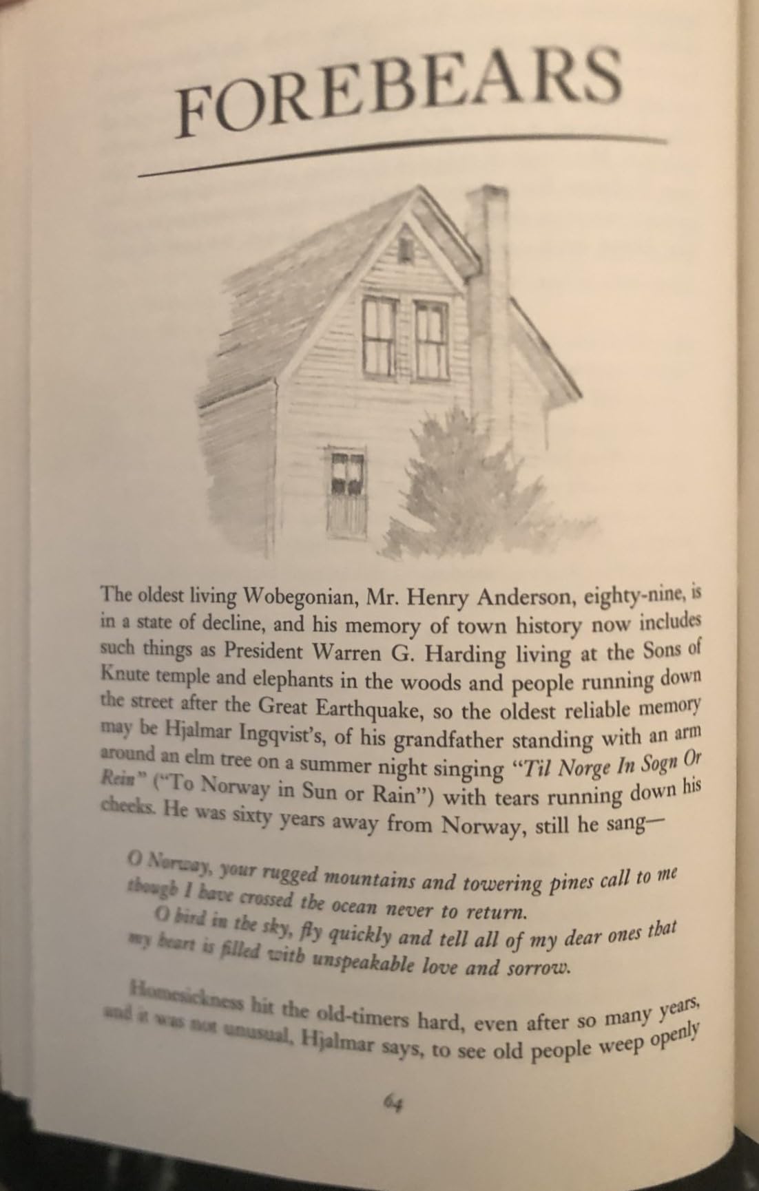 Lake Wobegon Days used book depot