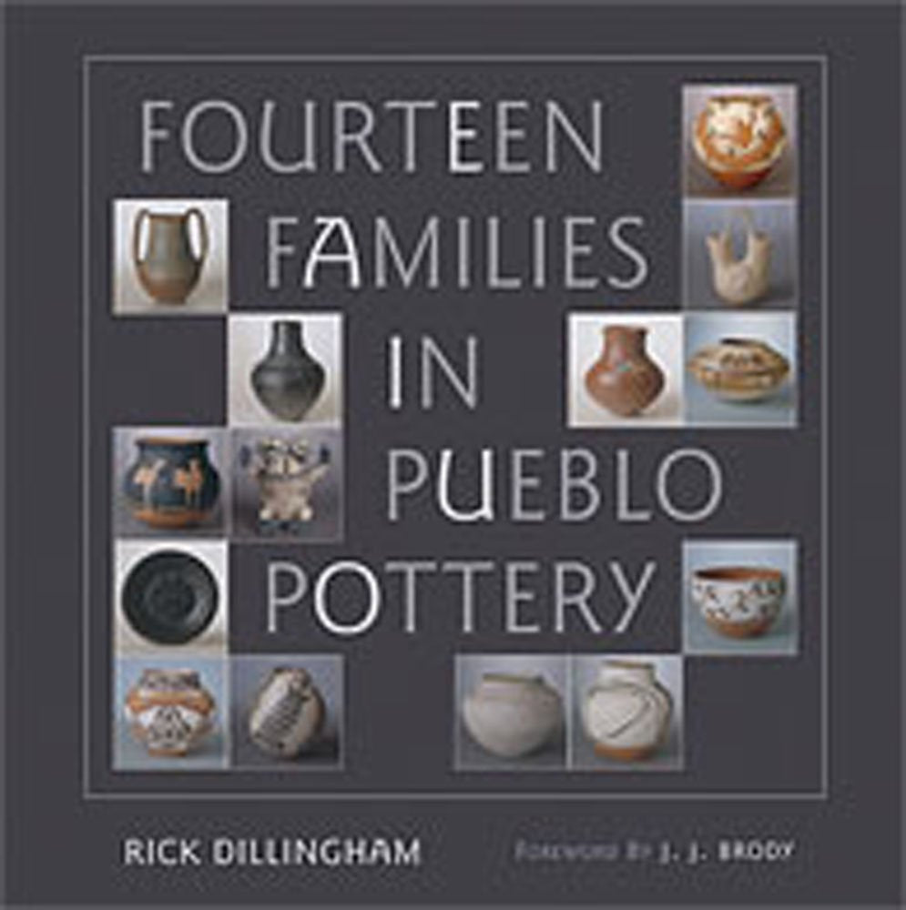 Fourteen Families in Pueblo Pottery used book depot