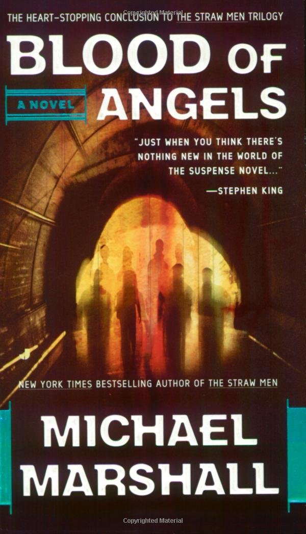 Blood of Angels (Straw Men) used book depot