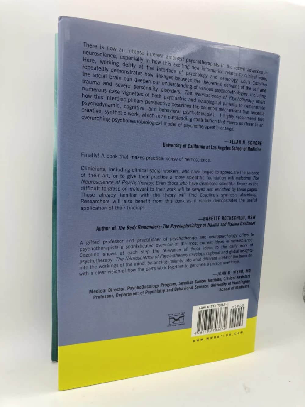 The Neuroscience of Psychotherapy: Building and Rebuilding the Human Brain (Norton Series on Interpersonal Neurobiology) used book depot