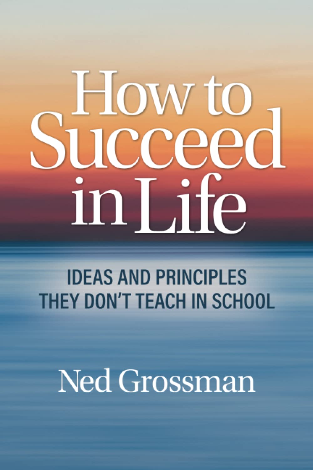 How to Succeed in Life: Ideas and Principles They Don’t Teach in School used book depot