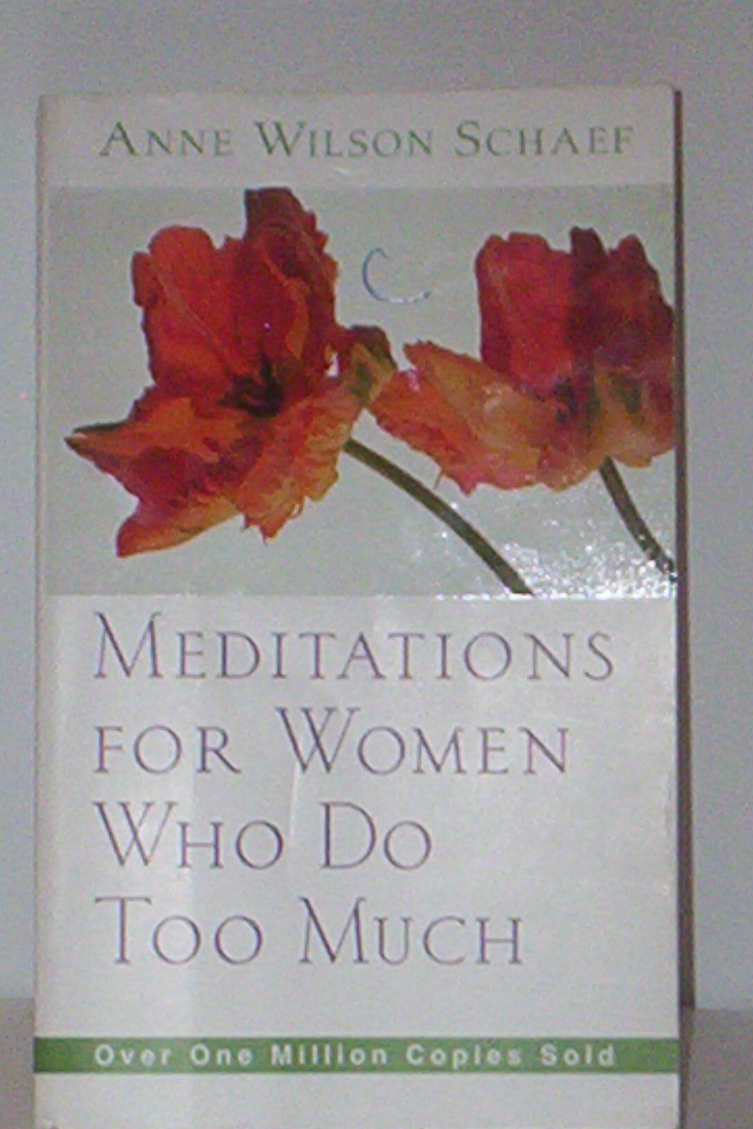 Meditations for Women Who Do Too Much used book depot