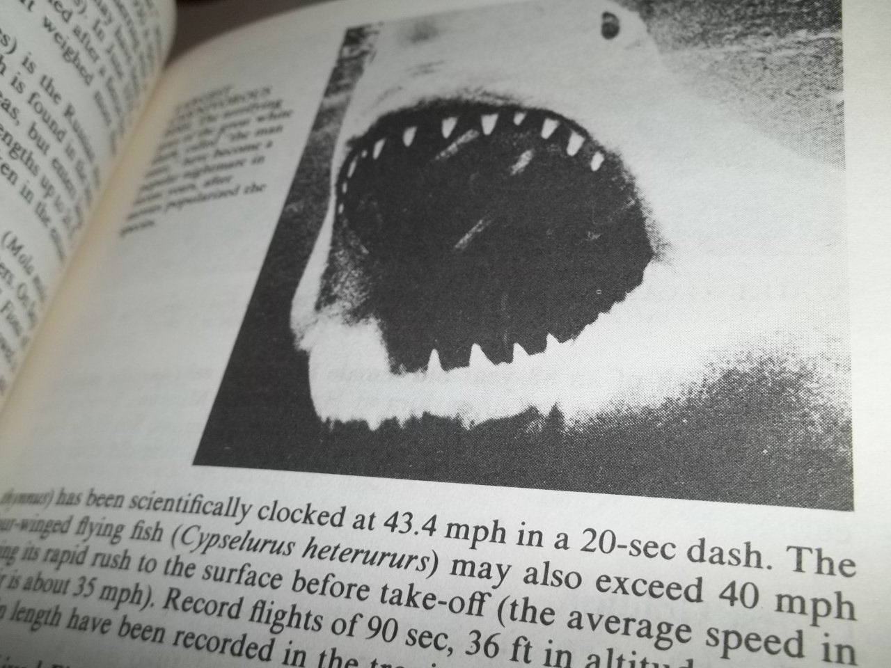 Guinness Book of World Records 1982 used book depot