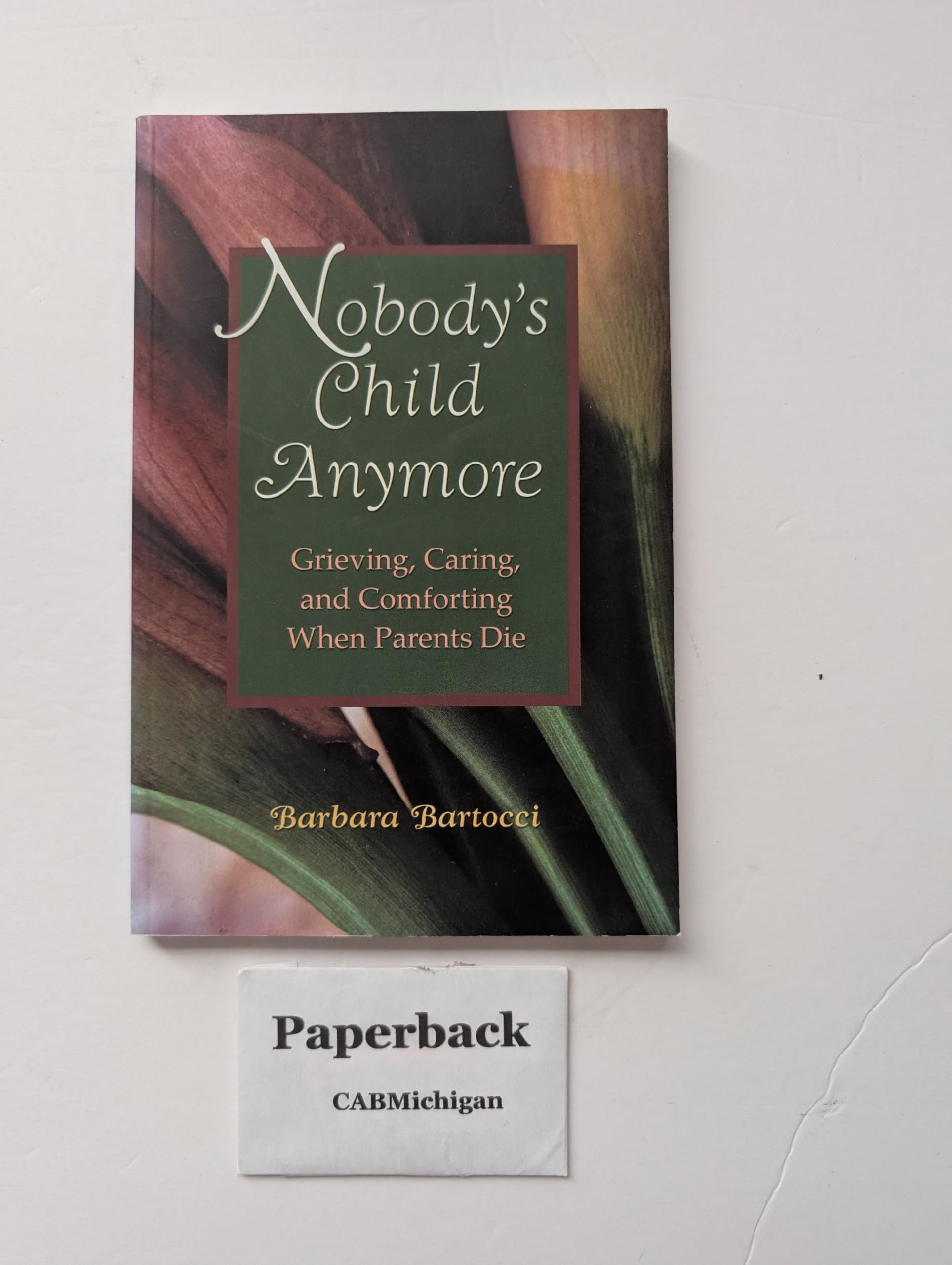 Nobody's Child Anymore: Grieving, Caring and Comforting When Parents Die used book depot