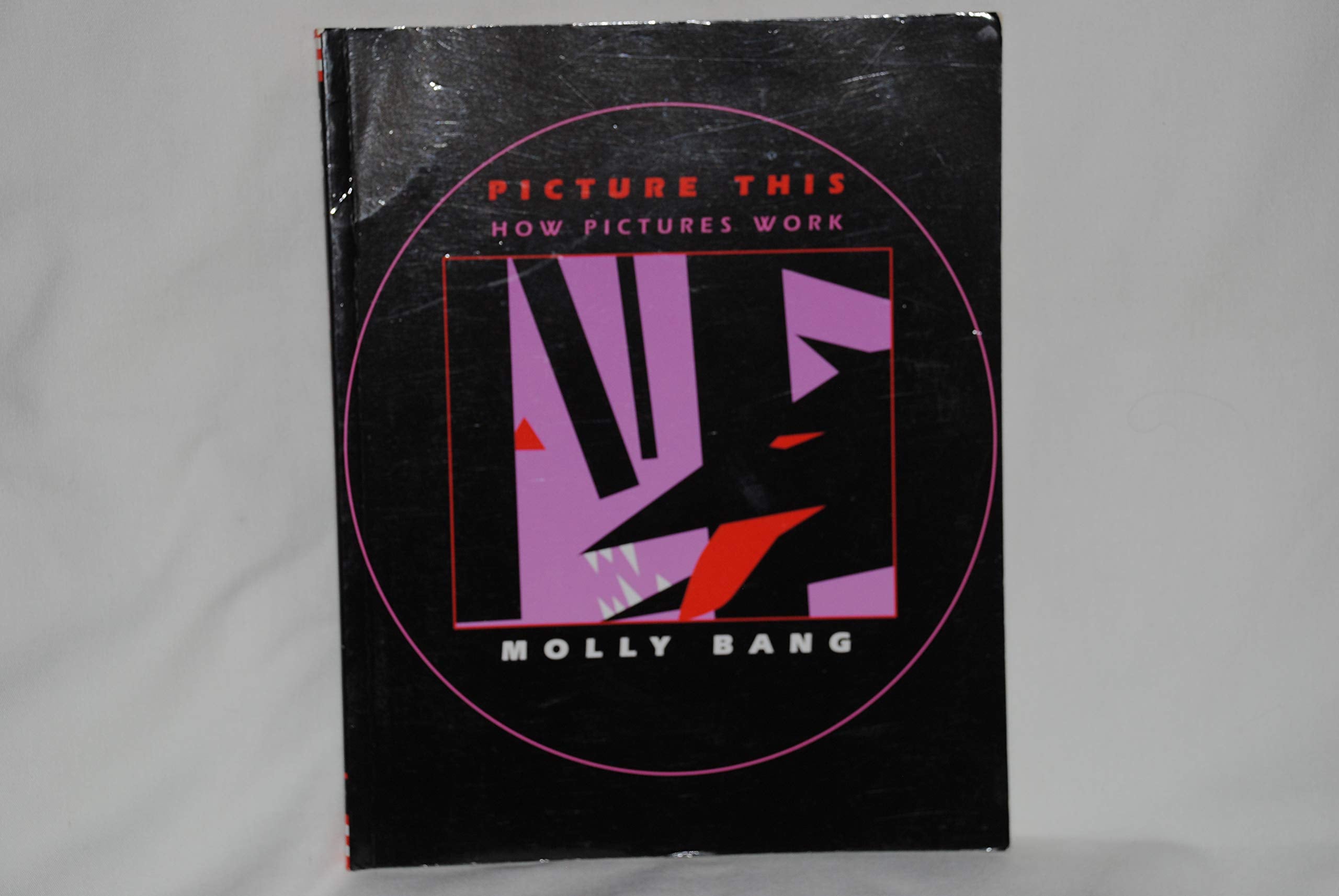 Picture This: How Pictures Work used book depot