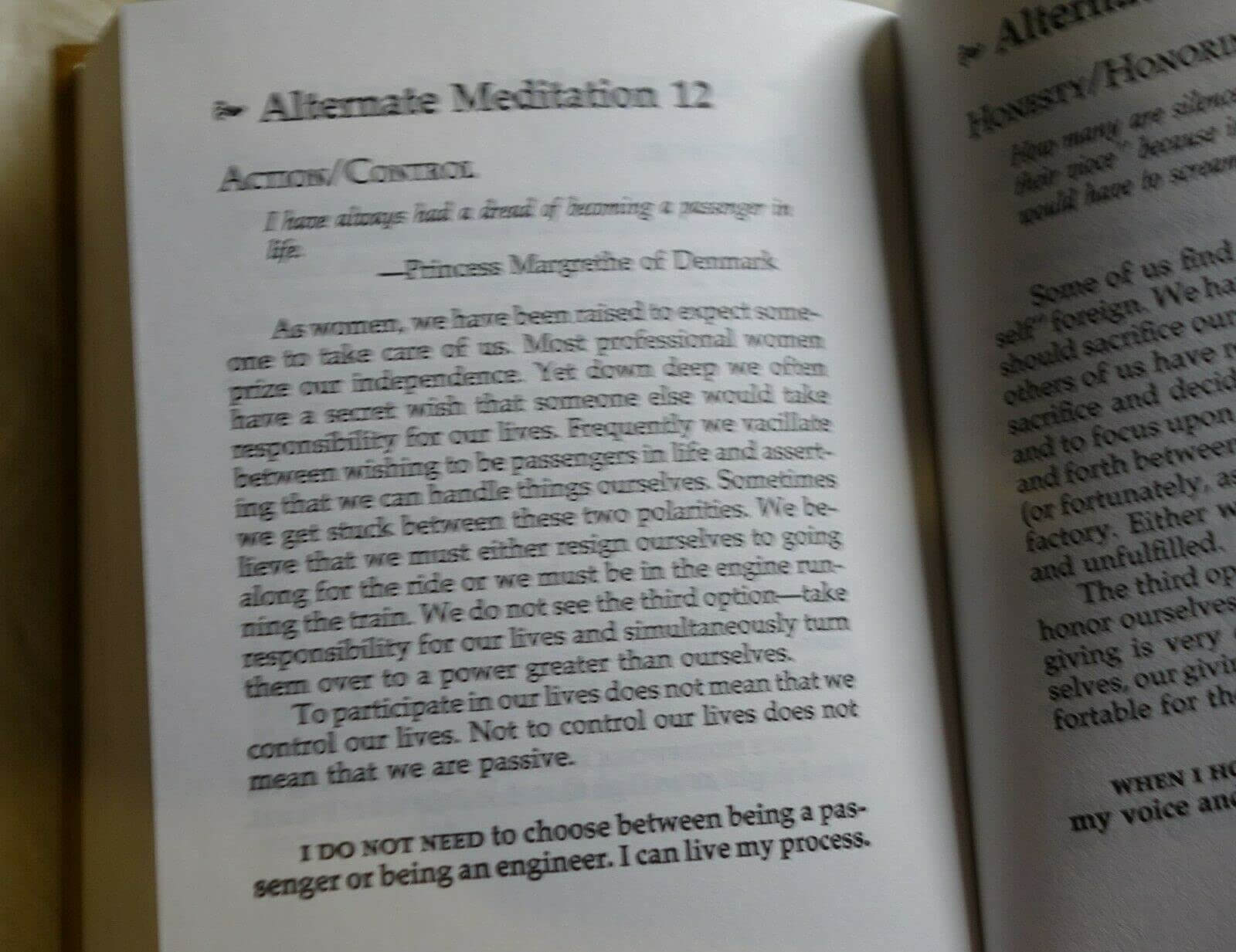 Meditations for Women Who Do Too Much used book depot