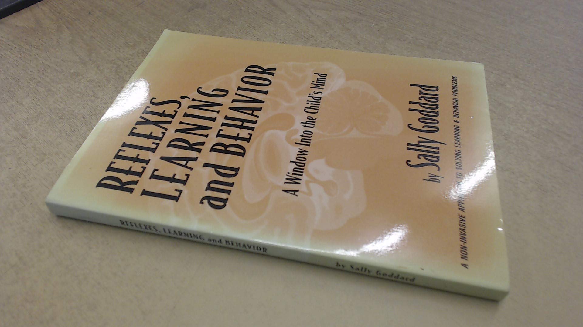 Reflexes, Learning and Behavior: A Window into the Child's Mind used book depot