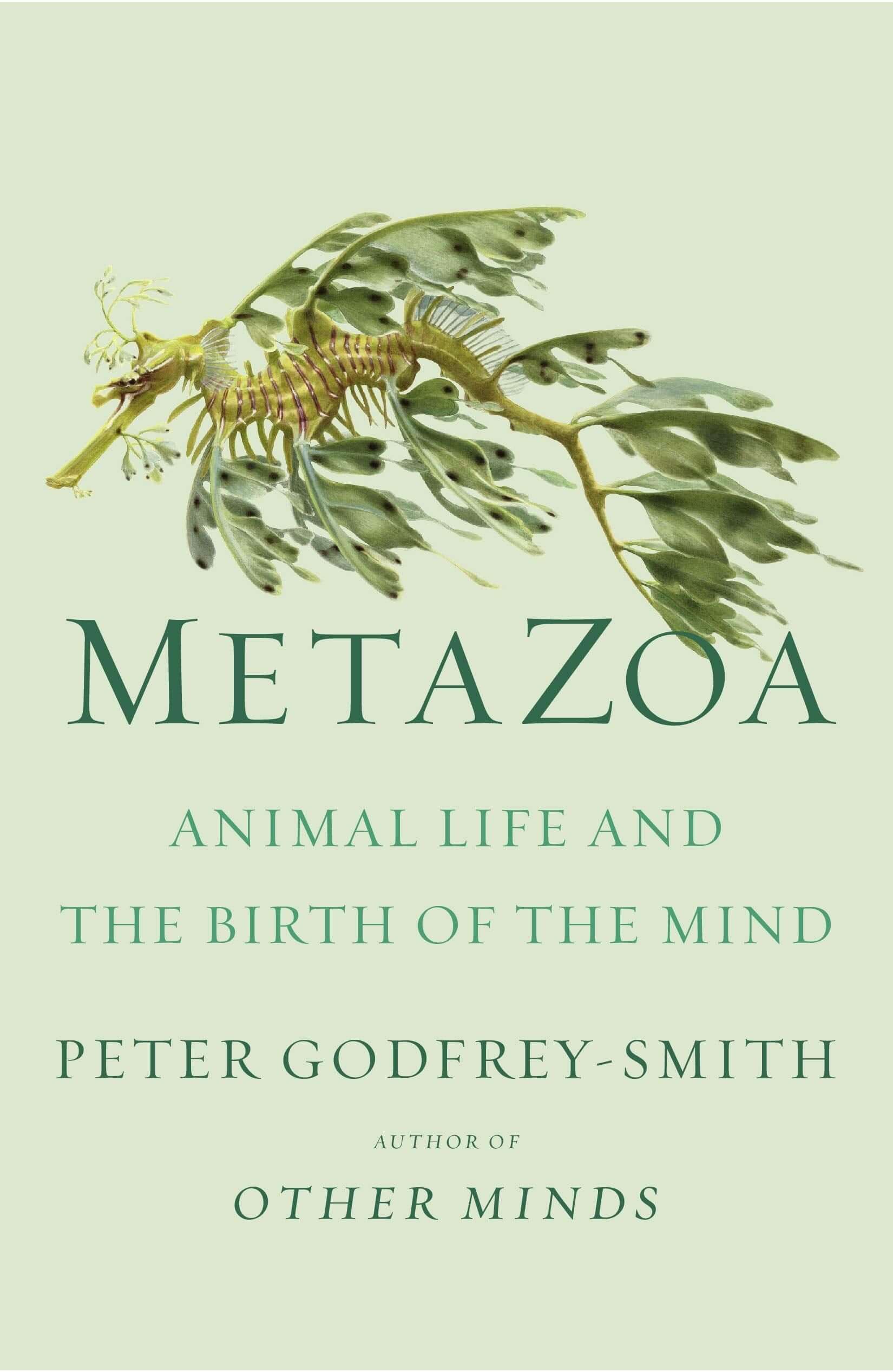 Metazoa: Animal Life and the Birth of the Mind used book depot