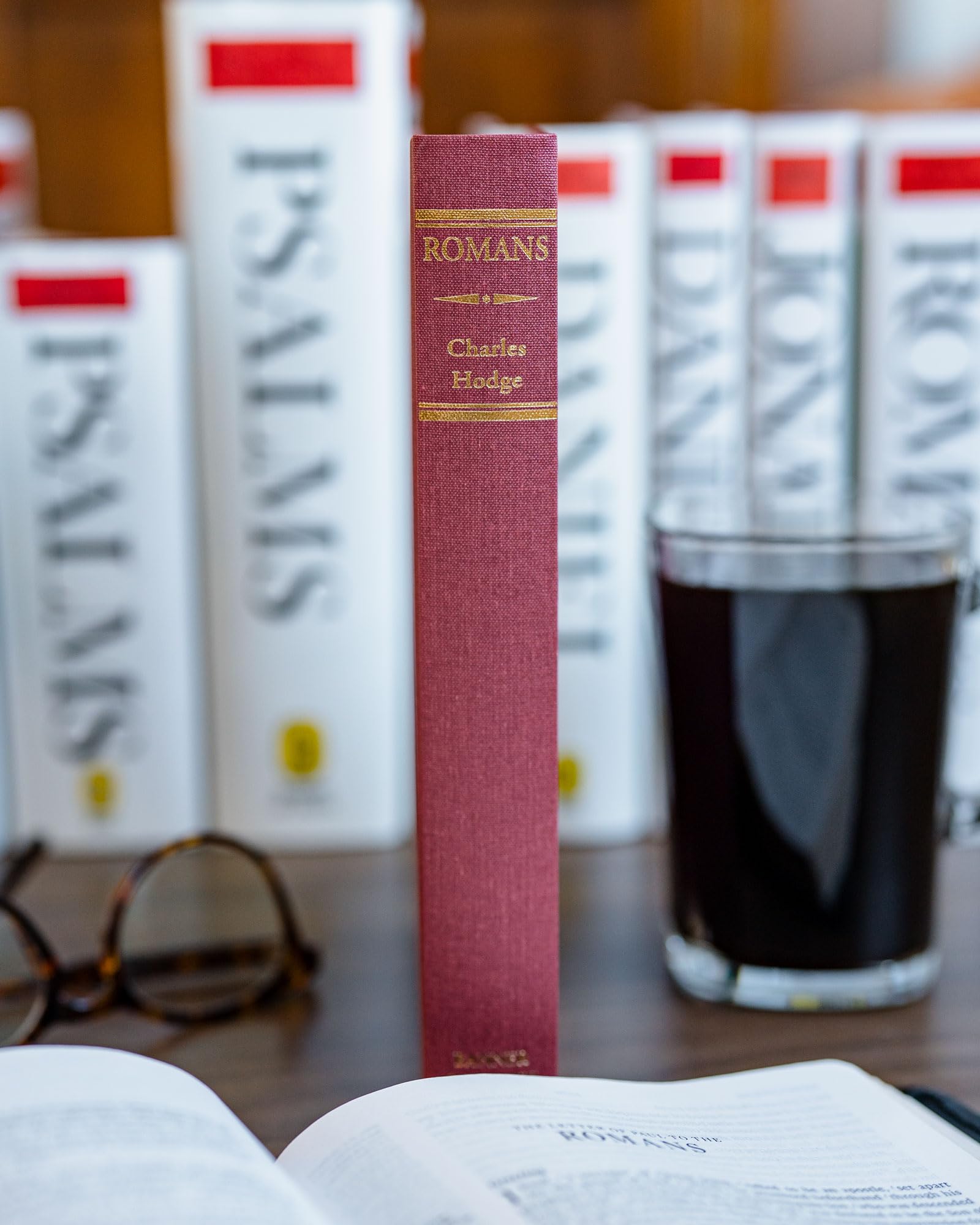 Romans (Geneva Commentaries Series) used book depot