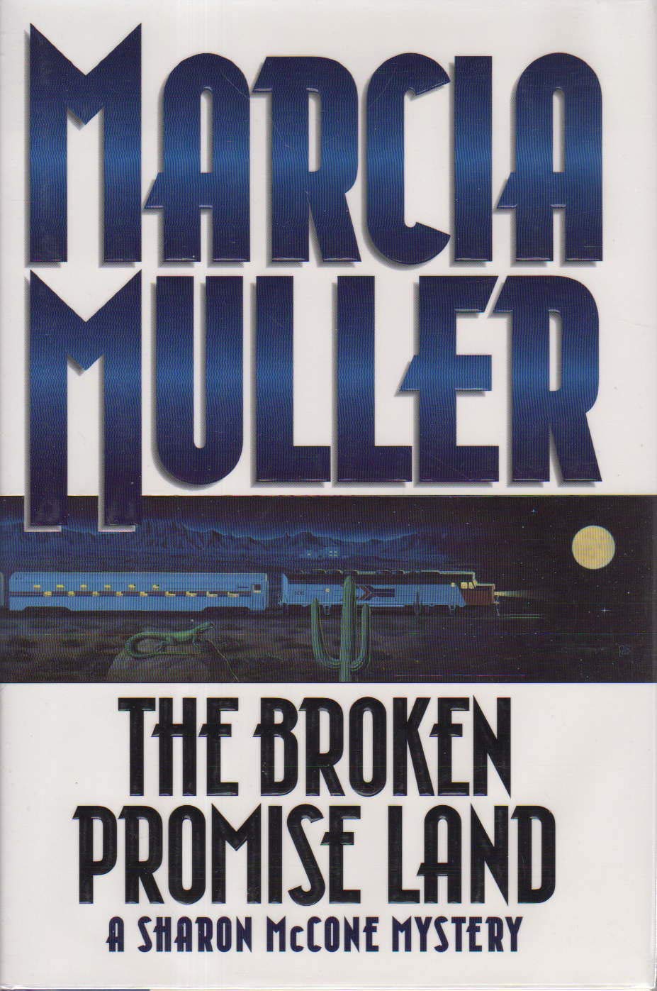The Broken Promise Land used book depot