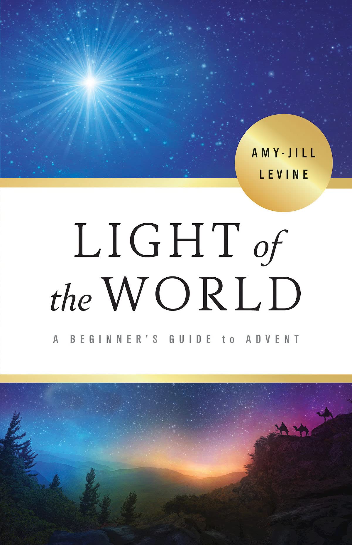 Light of the World: A Beginner's Guide to Advent used book depot