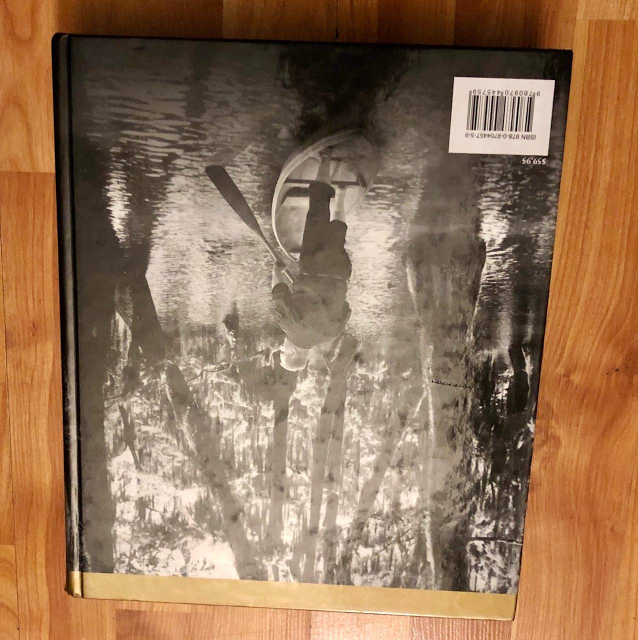 Hooks, Lies & Alibis: Louisiana's Authoritative Collection of Game Fish & Seafood Cookery by John D. Folse, Michaela York (2009) Hardcover used book depot