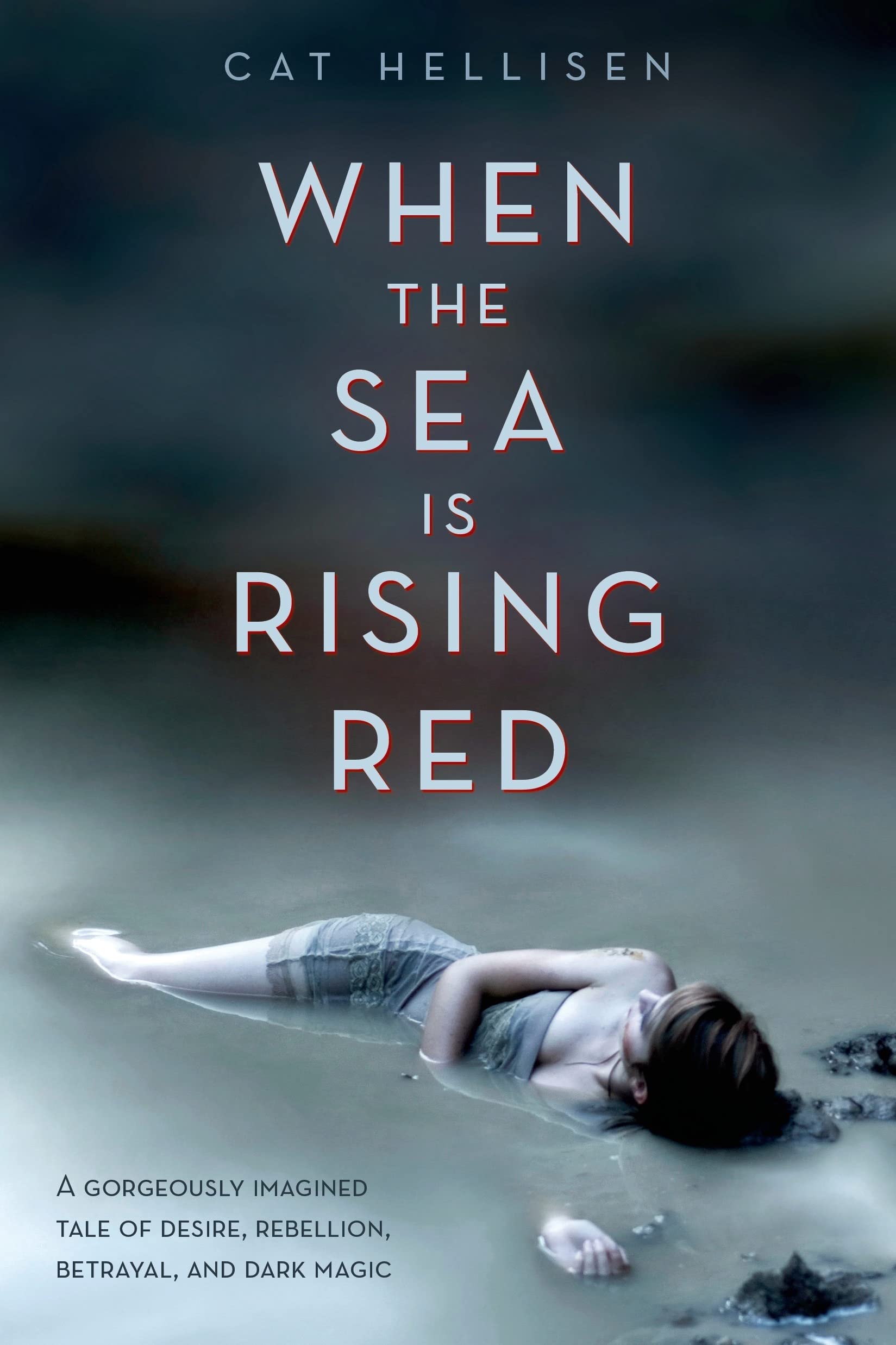 When the Sea is Rising Red used book depot