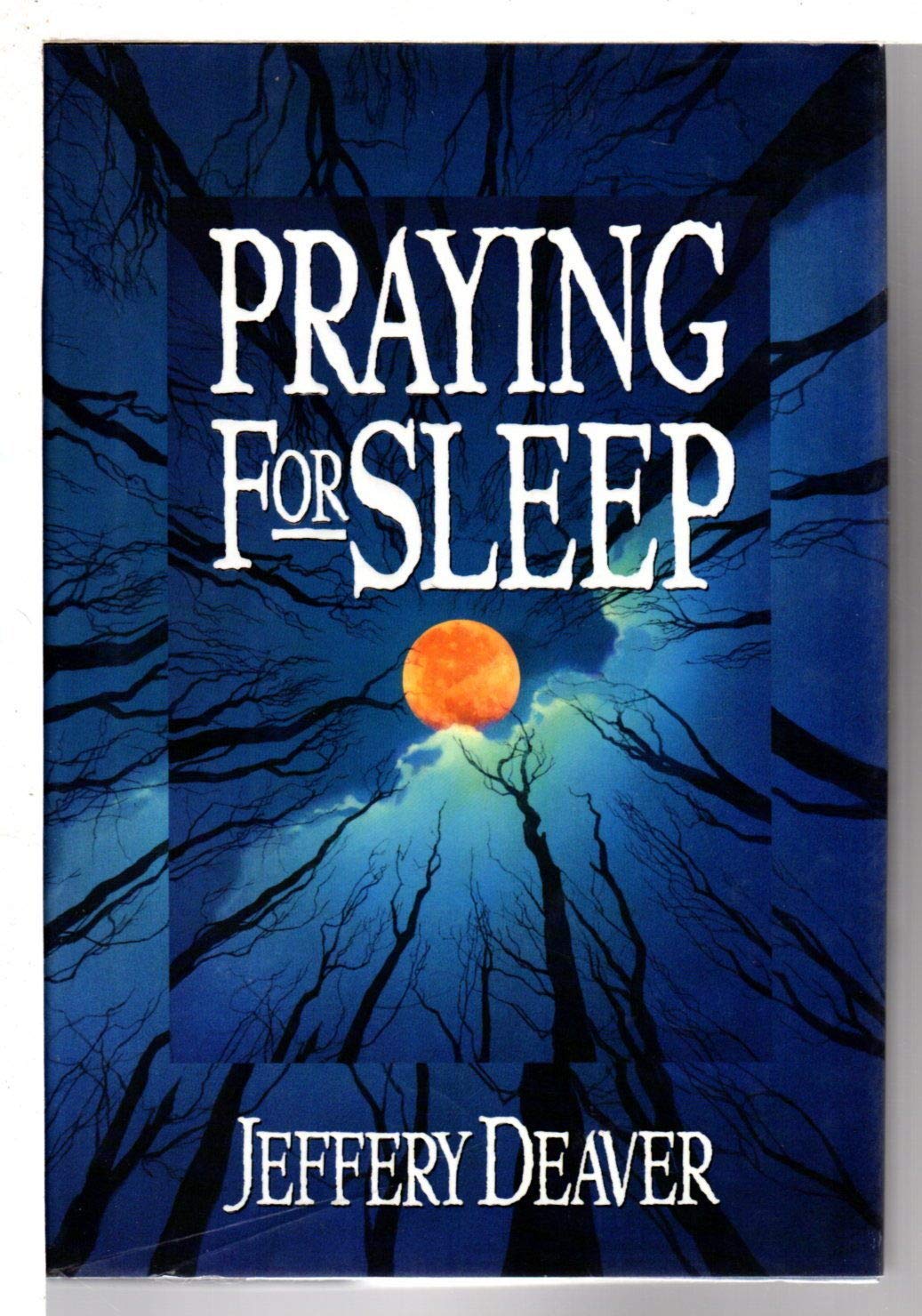 Praying for Sleep used book depot