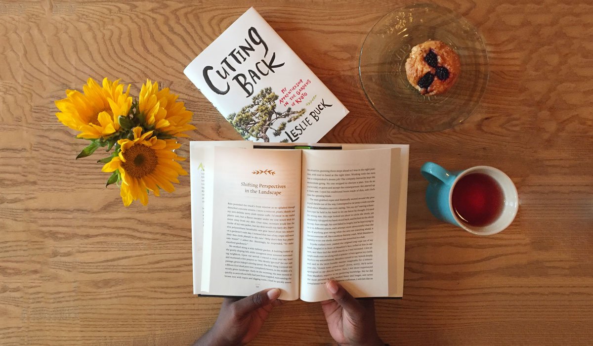 Cutting Back: My Apprenticeship in the Gardens of Kyoto used book depot