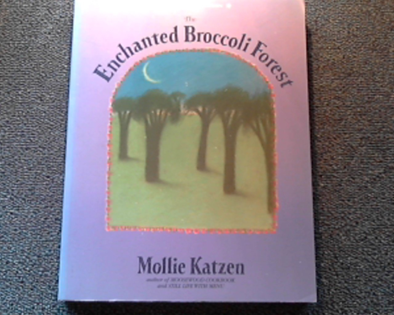 The Enchanted Broccoli Forest used book depot