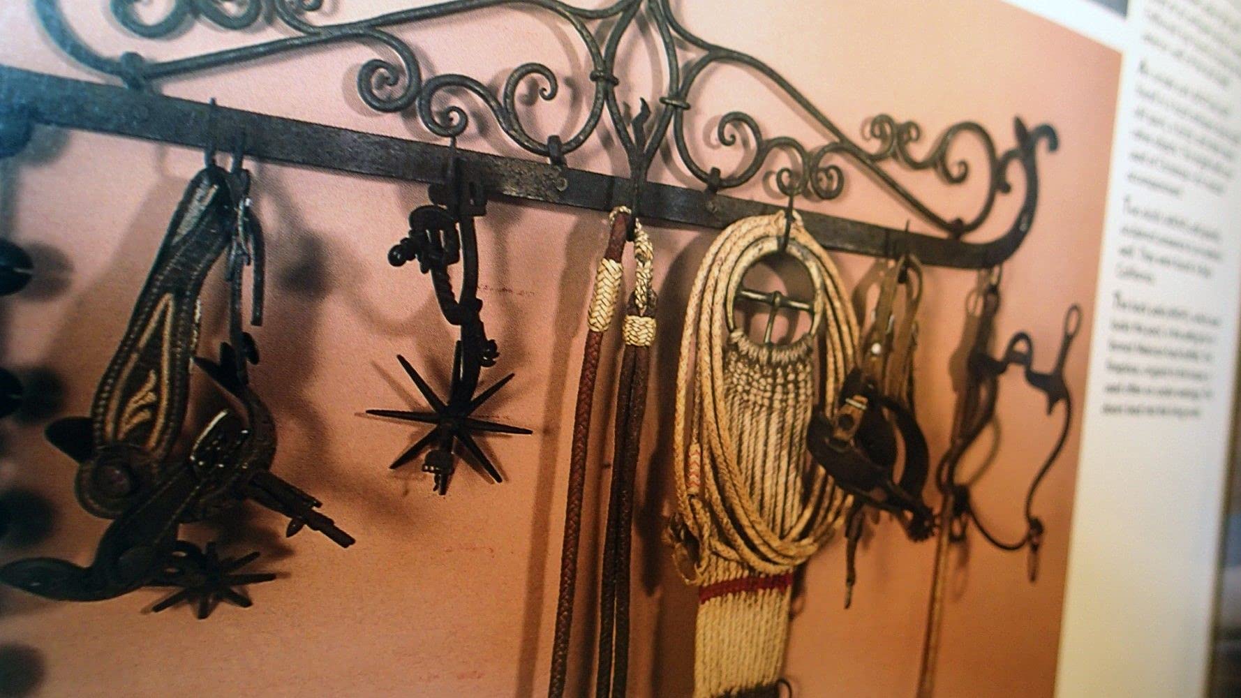 The Desert Southwest: (American Design) used book depot