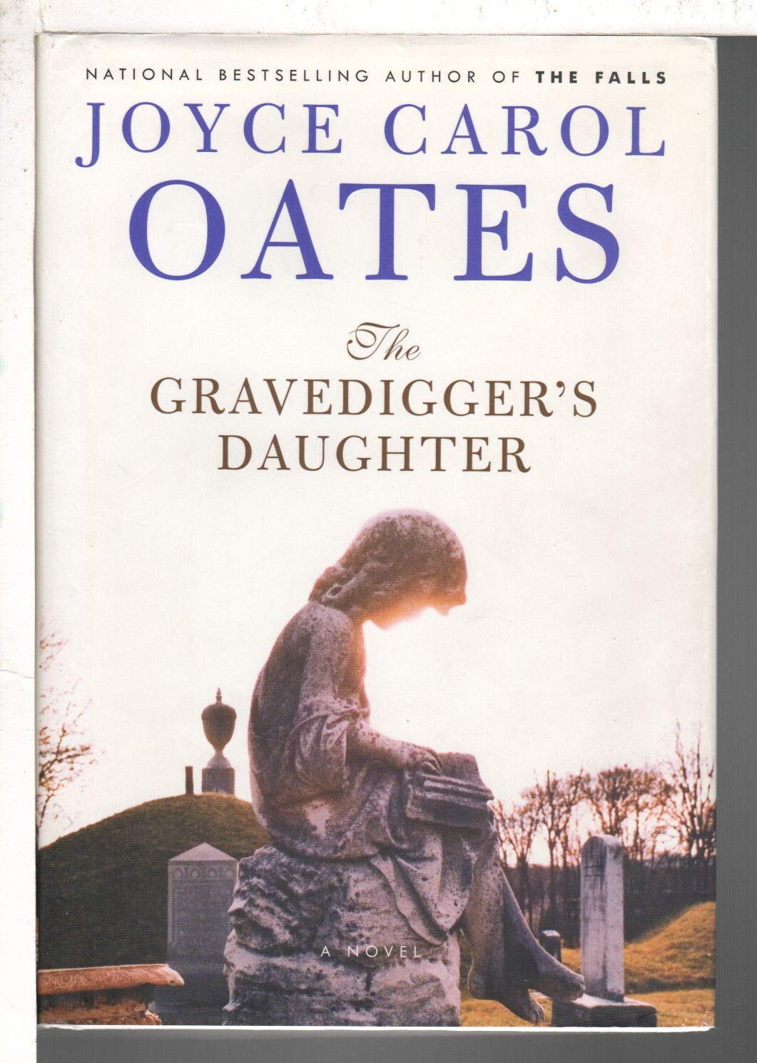 The Gravedigger's Daughter used book depot