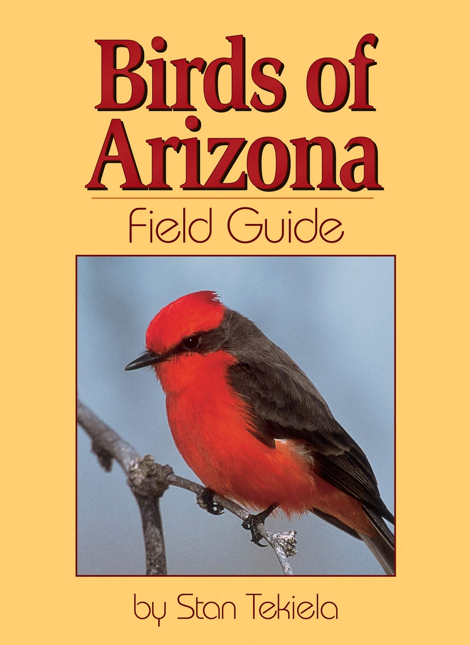 Birds of Arizona Field Guide used book depot
