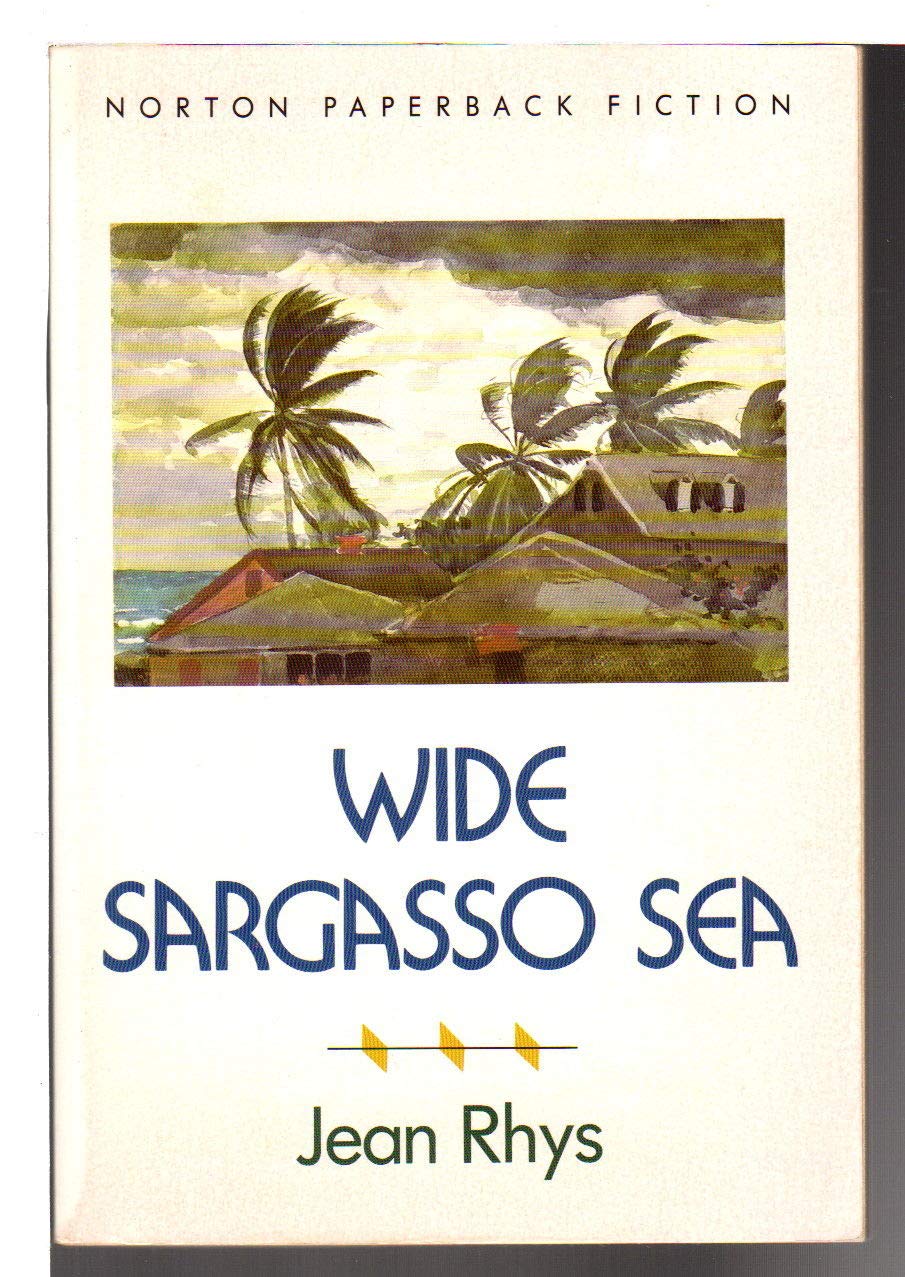 Wide Sargasso Sea: A Novel used book depot