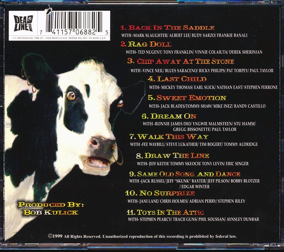 Aerosmith Tribute: Not The Same Old Song & Dance used book depot