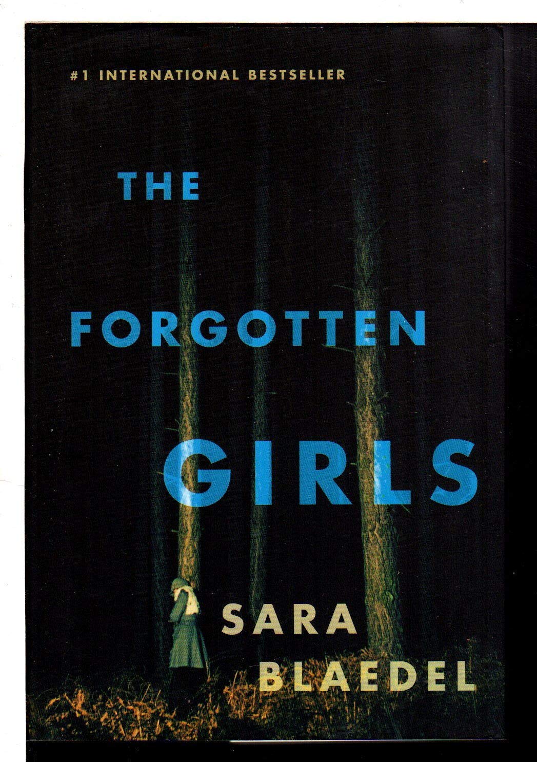 The Forgotten Girls (Louise Rick Series, 7) used book depot