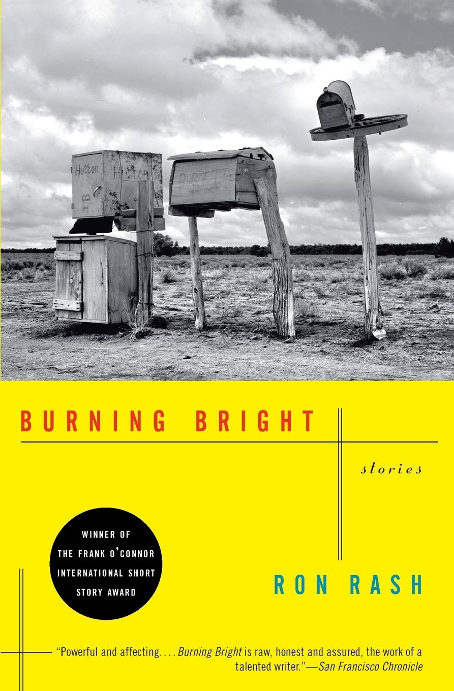 Burning Bright: Stories used book depot