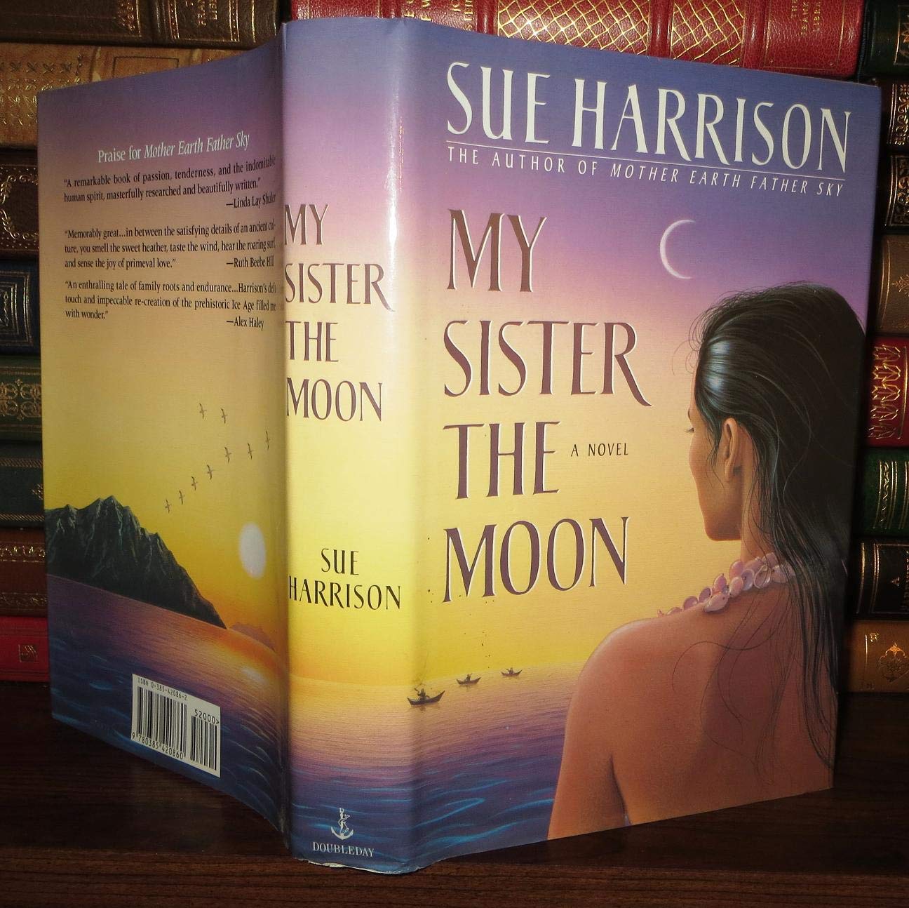 My Sister the Moon used book depot