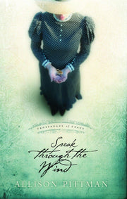 Speak Through the Wind (Crossroads of Grace #2) used book depot