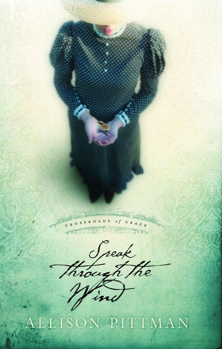 Speak Through the Wind (Crossroads of Grace #2) used book depot