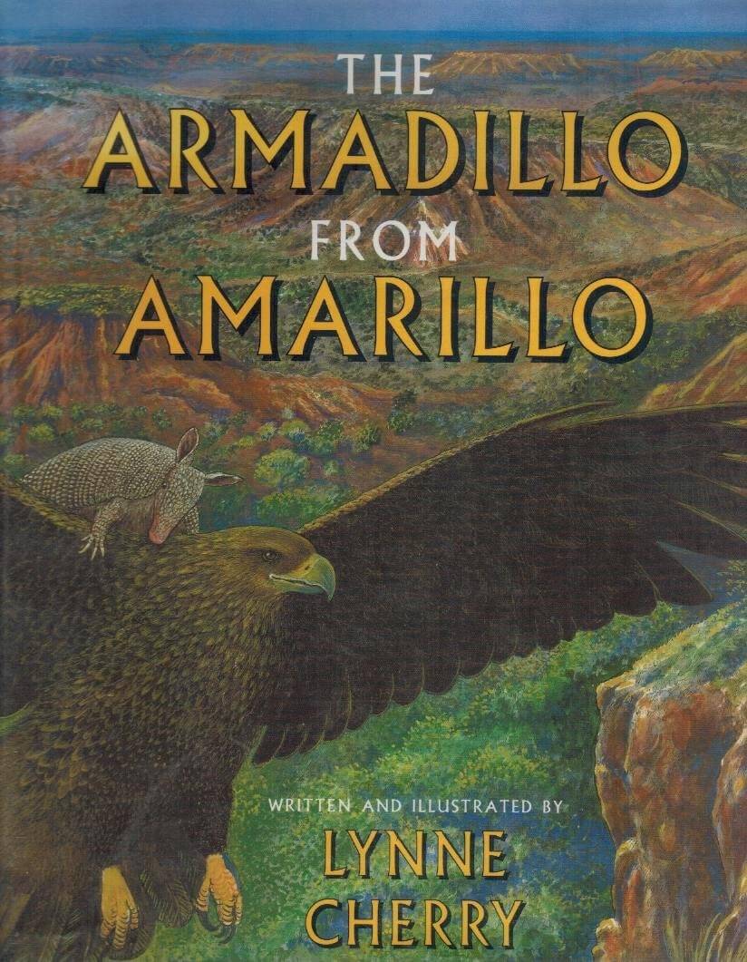 The Armadillo from Amarillo used book depot