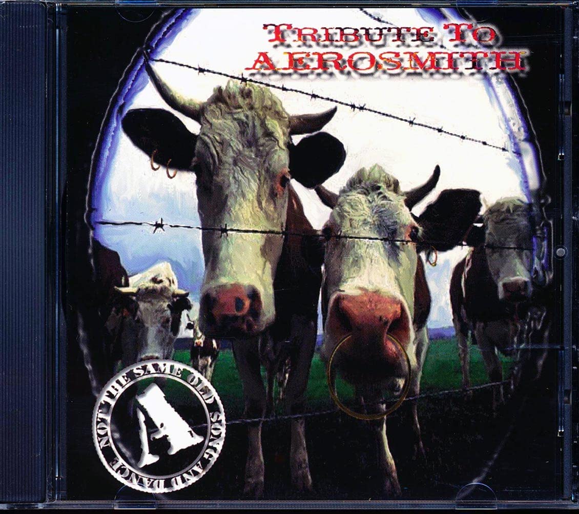 Aerosmith Tribute: Not The Same Old Song & Dance used book depot