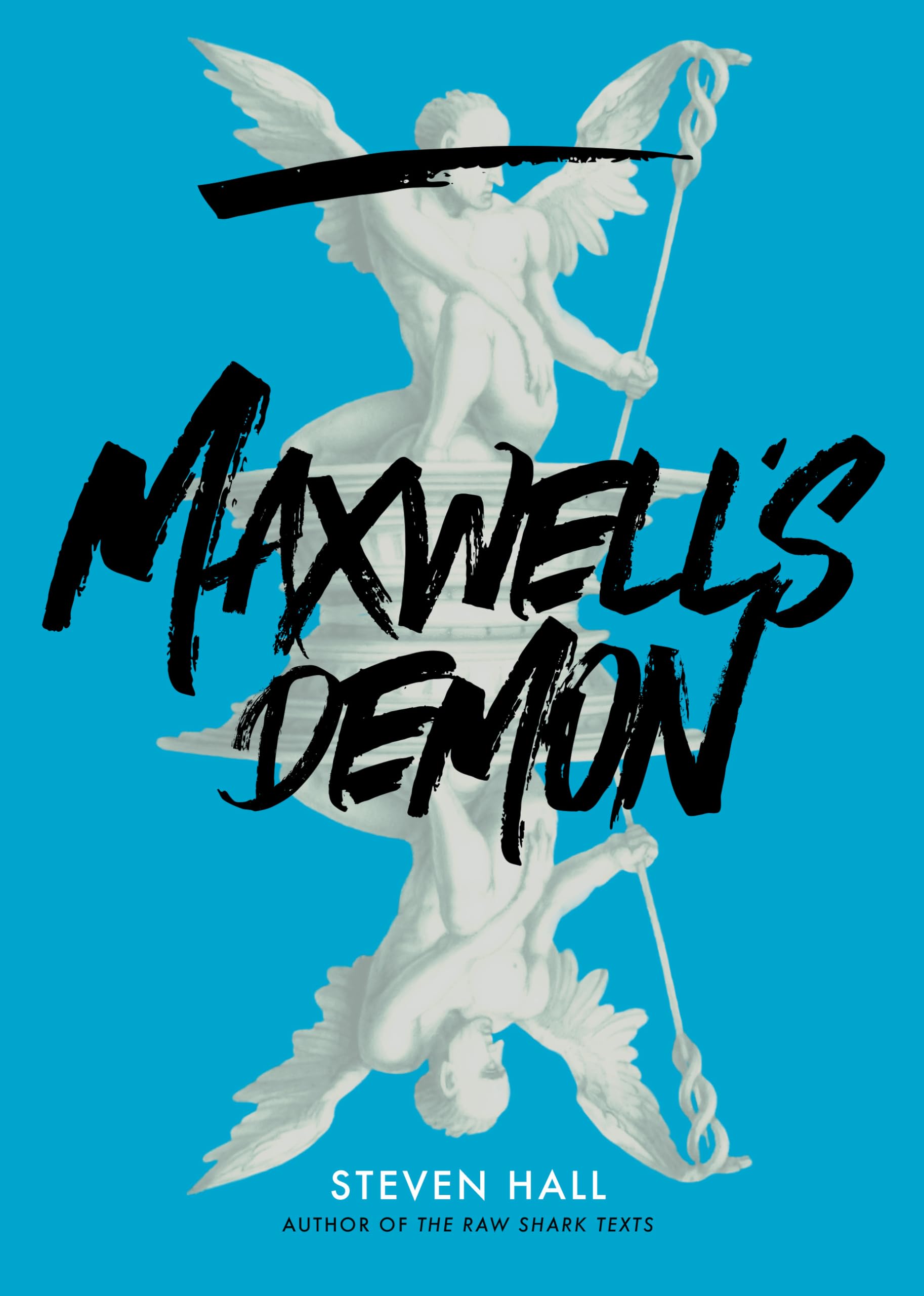 Maxwell's Demon used book depot