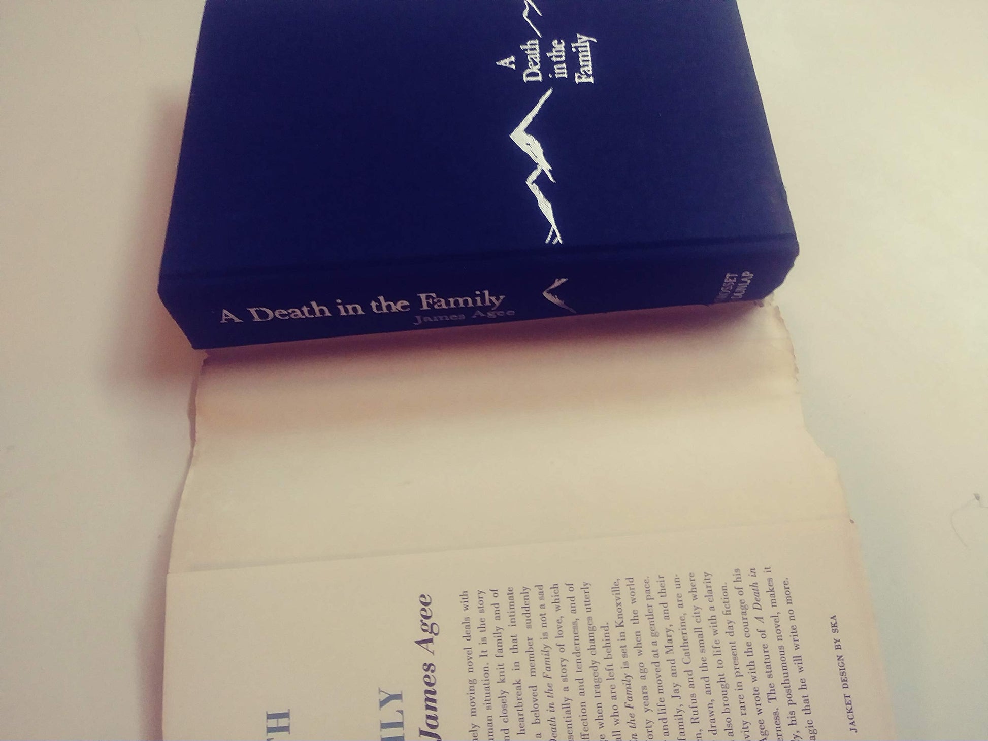A Death in the Family used book depot