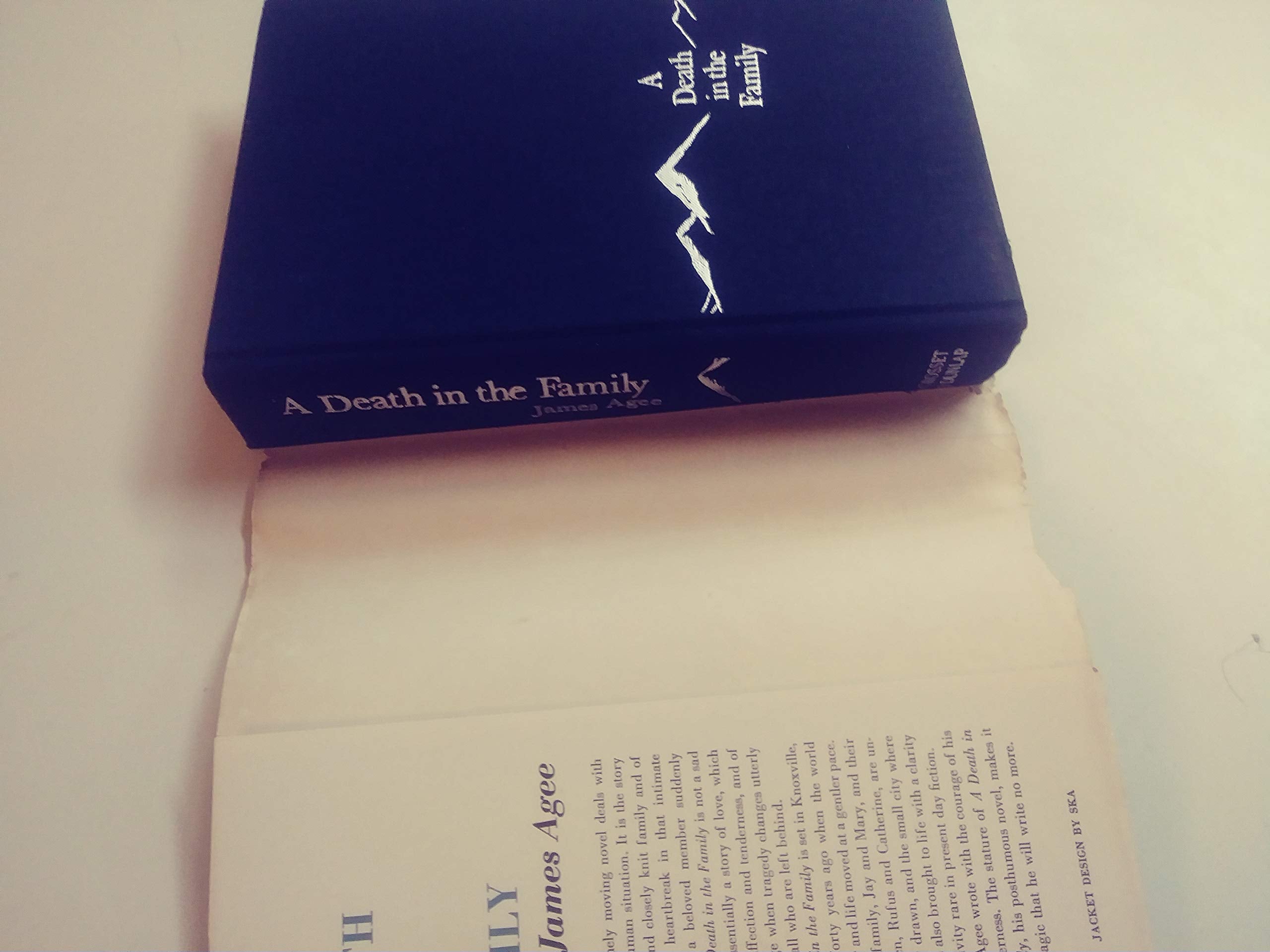 A Death in the Family used book depot
