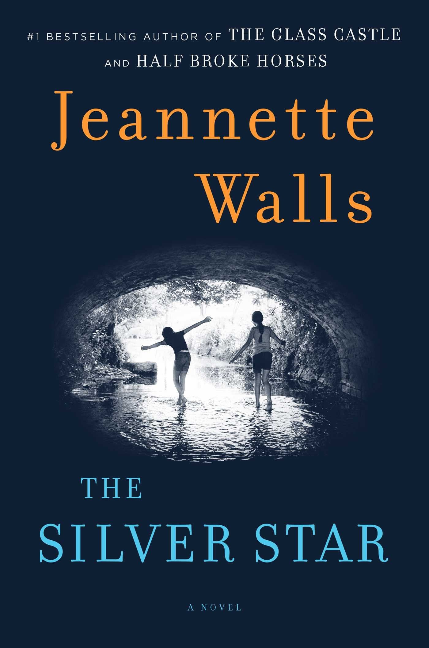 The Silver Star: A Novel used book depot