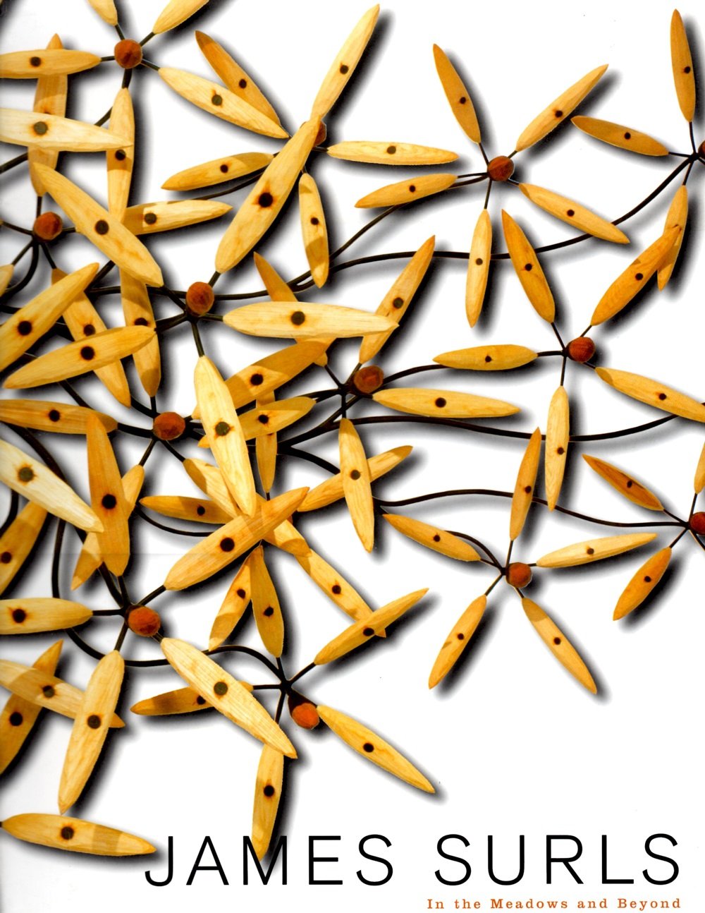 James Surls: In The Meadows And Beyond used book depot