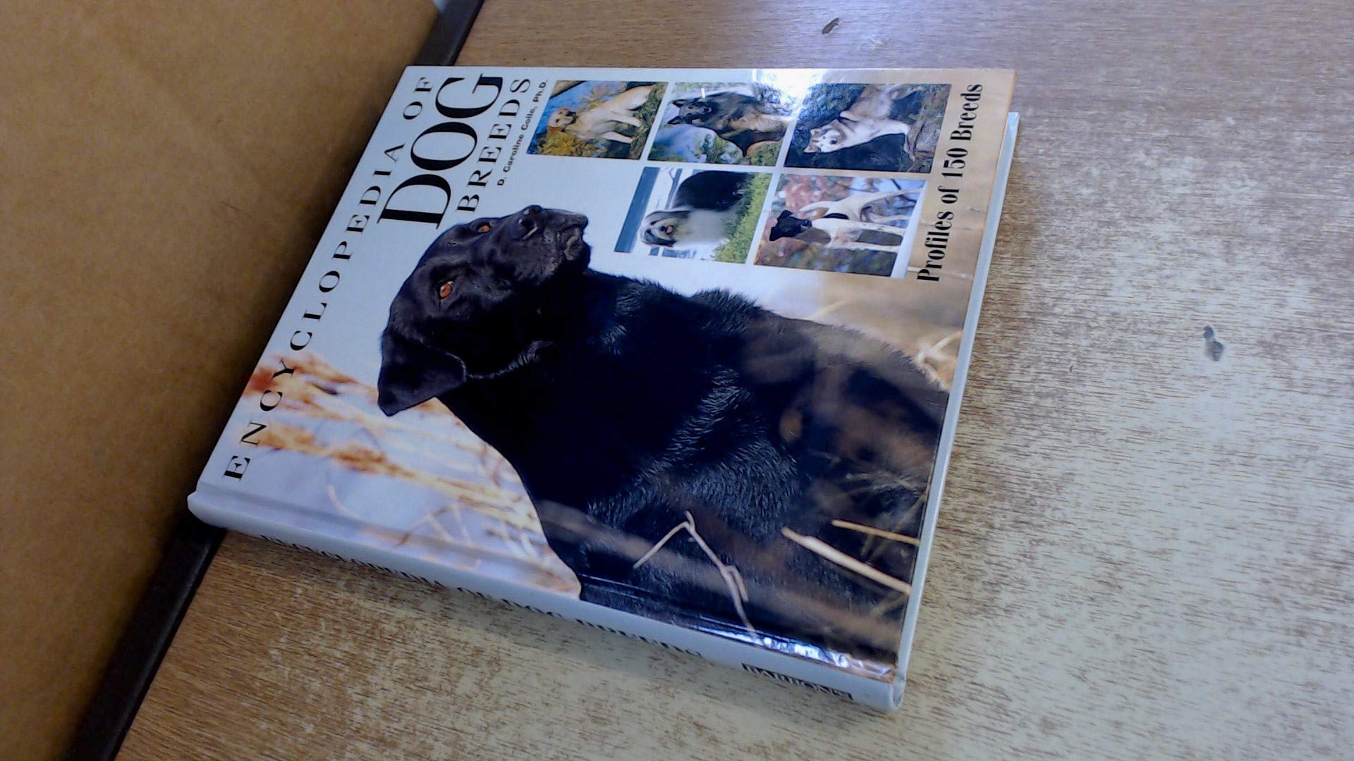 Barron's Encyclopedia of Dog Breeds used book depot