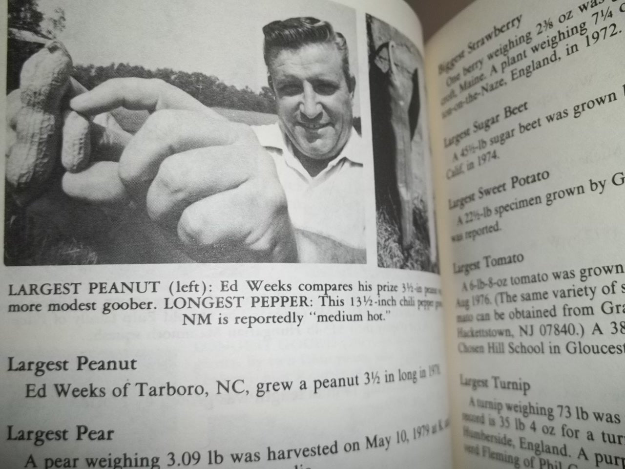 Guinness Book of World Records 1982 used book depot