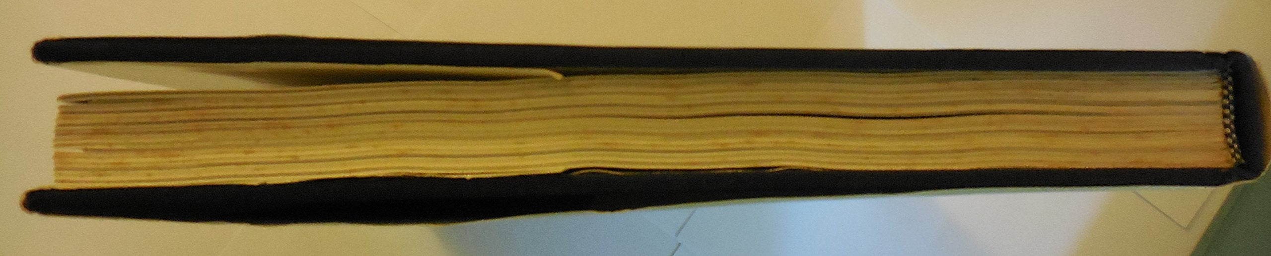 Walt Disney's Epcot Center: Creating the New World of Tomorrow used book depot