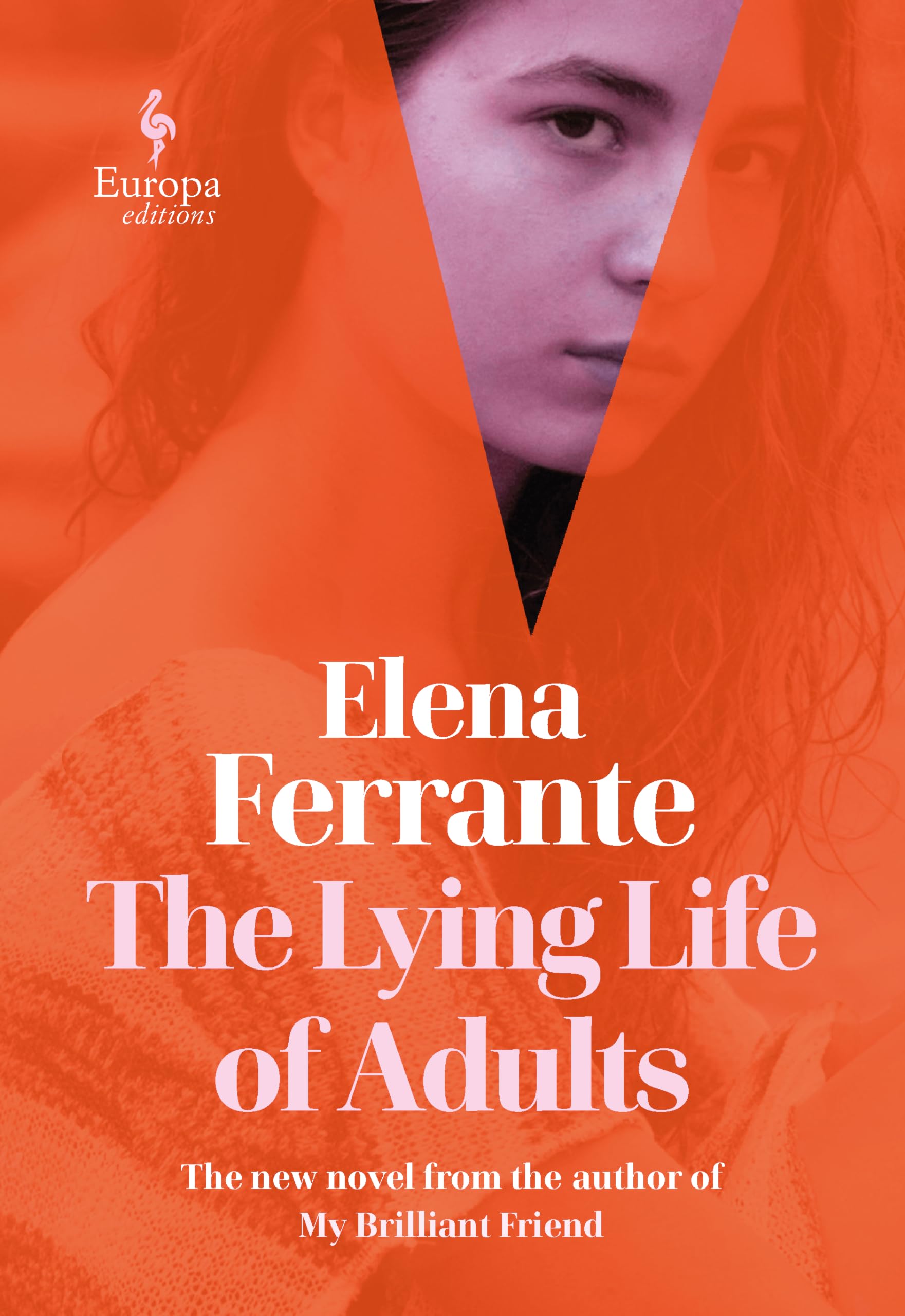 The Lying Life of Adults: A Novel used book depot